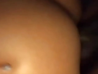 Yellow bitch obtaining drilled