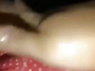 Cachorra se masturbando pra mim