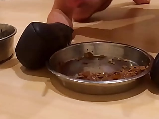 k9dogslave gets fed from its bowl