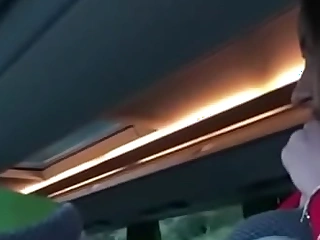 Sex in bus