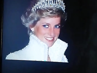 Cum Tribute a la princesa Diana