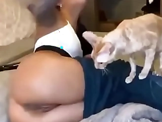 La interrumpe su gato