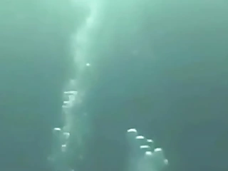 Bajo del mar