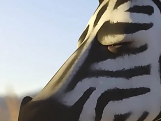 Nala acquires bitchy hard by zebra in asshole