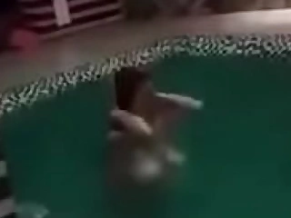Florijana Pidhi nga Prishtina duke i lar cicac e mëdhaja në pishinë të mbrendëshme* Shiko në videon, vizitoni