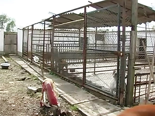 Crudeli Sevizie in un Campo di Concentramento (Full Movie)