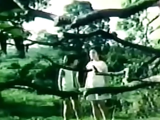 Darna coupled with the Giants (1973)