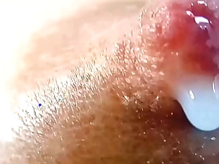 closeup milking nipple