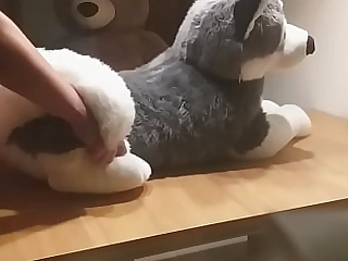 german plush love pounds his plushie husky after work