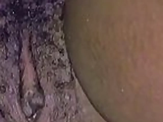 Fat Hairy Beaver I Fucked Proceed with Week Free Version